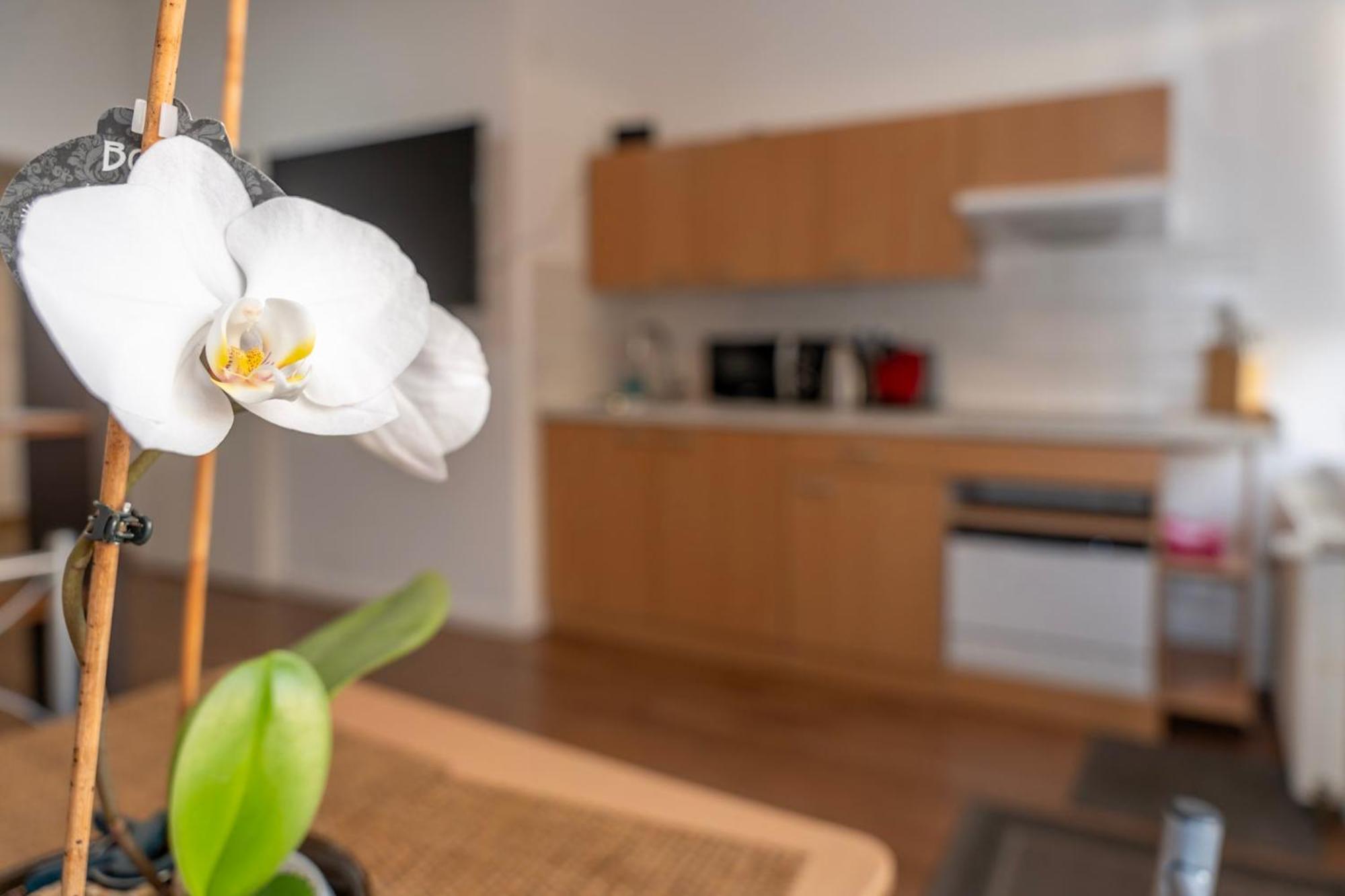 Cosy Nest - Apartment By Comfort Housing Фалкензее Екстериор снимка